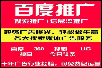 SEM优化师成功案例：助力企业实现品牌升级